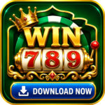 win 789app